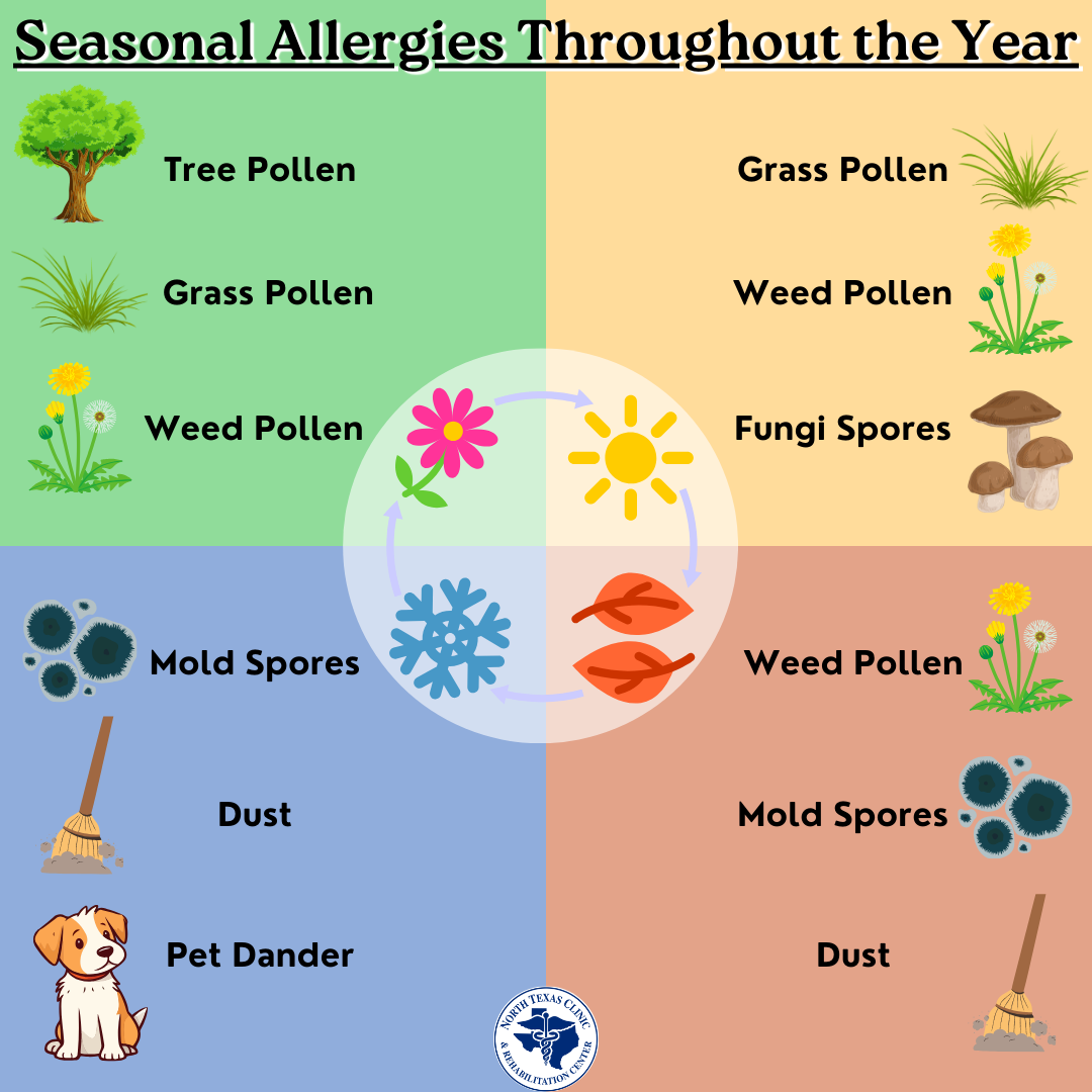 Seasonal Allergies Throughout the Year graphic