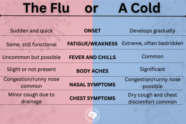 The Flu or a Cold Infographic