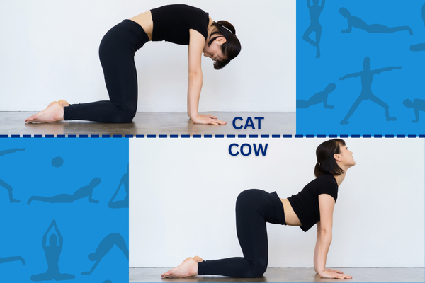 A woman performing cat/cow yoga pose